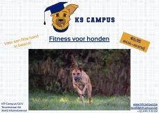 E-book: Fitness voor honden €6,95