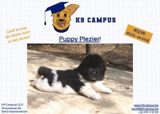 E-book: Puppy Plezier €12,95