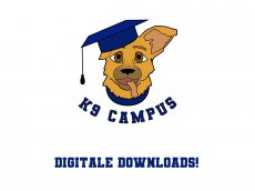 E-books & Digitale downloads