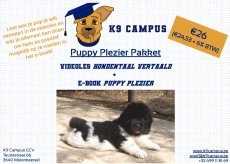 Pakket Puppy Plezier €26