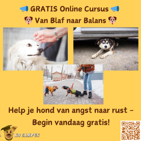 Gratis cursus