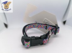 Large Confetti Paws L dog collar