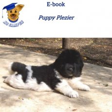 E-book: Puppy Plezier E-book: Puppy Plezier