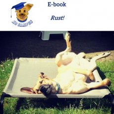E-book: Rust! E-book: Rust!