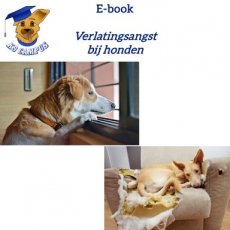 E-book: Verlatingsangst bij honden E-book: Verlatingsangst bij honden