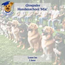 Hondenschool groepsles 1 les