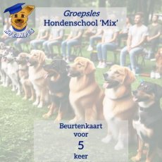 Hondenschool groepsles 5 beurtenkaart Hondenschool groepsles 5 beurtenkaart