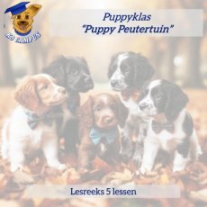 Puppy Peutertuin groepsles