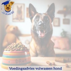 Voedingsadvies op maat voor hond (online)