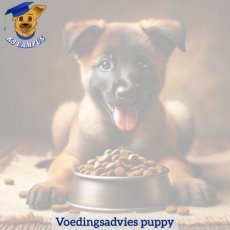 Voedingsadvies op maat voor pups (online)