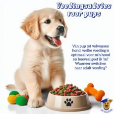 Voedingsadvies op maat voor pups (online)